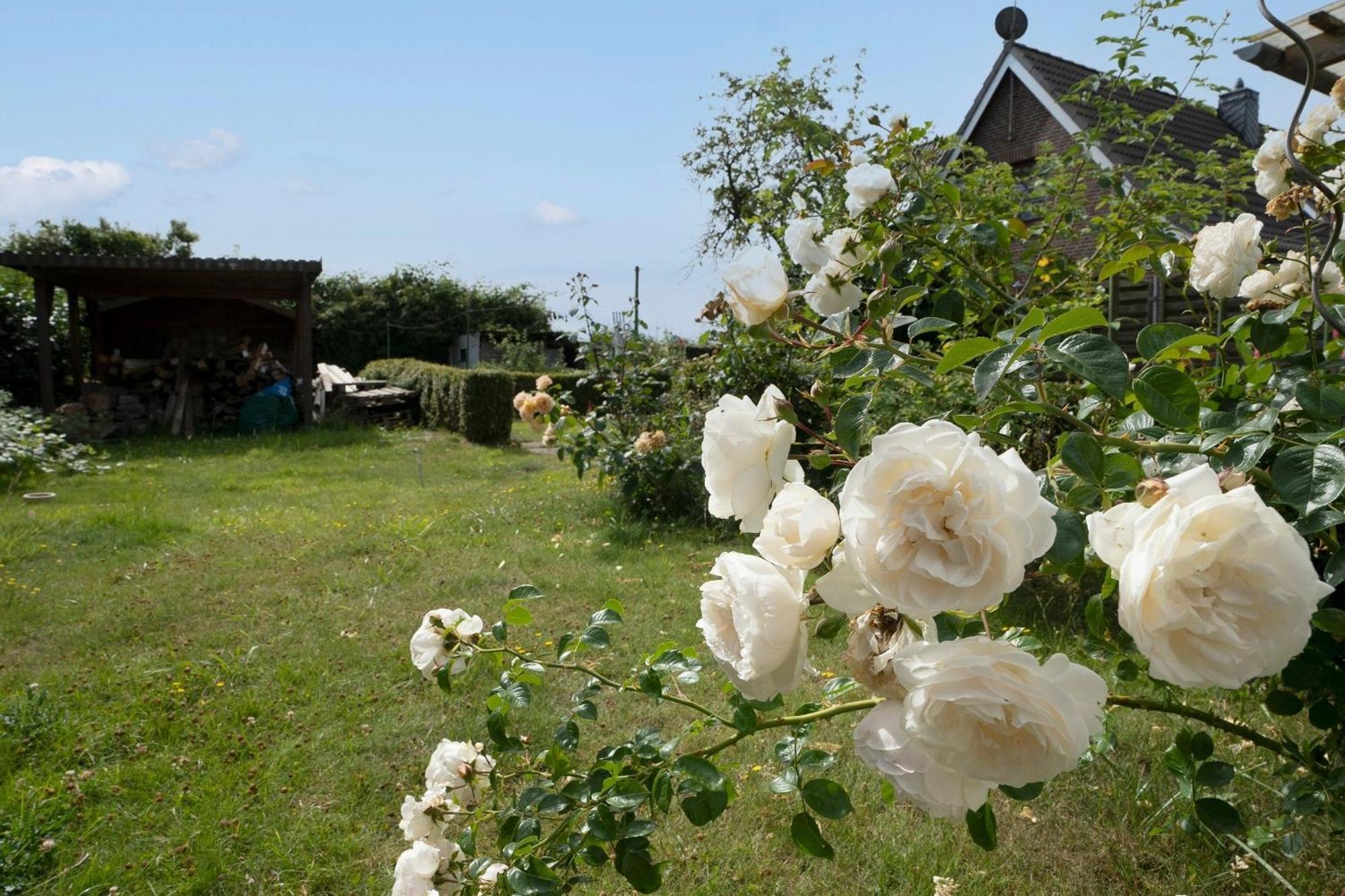 Apartamento Haus Waldfrieden Ferienhaeuschen Waldfrieden Haffkrug Exterior foto